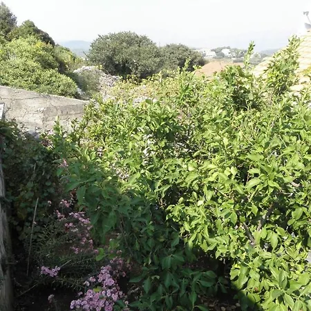 Apartment In Lumbarda With Sea View, Terrace, Air Conditioning, Washing Machine 874-1 Apartment Lumbarda